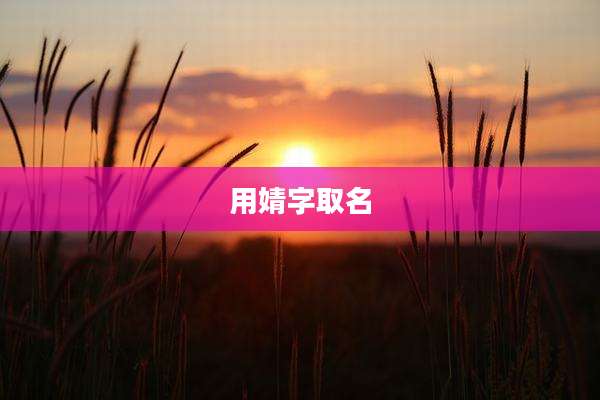 用婧字取名