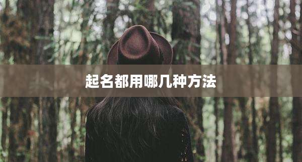 起名都用哪几种方法