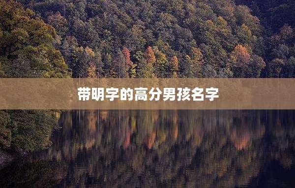 带明字的高分男孩名字