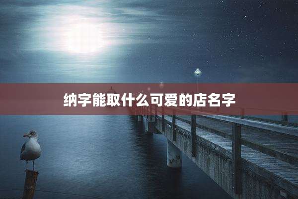 纳字能取什么可爱的店名字