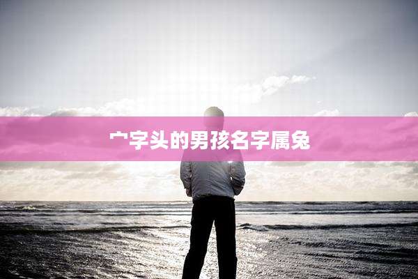 宀字头的男孩名字属兔