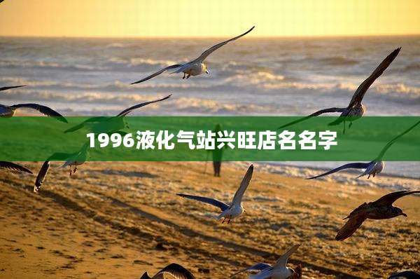 1996液化气站兴旺店名名字