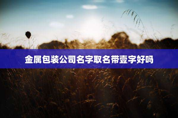 金属包装公司名字取名带壹字好吗