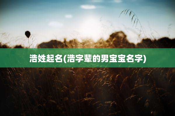 浩姓起名(浩字辈的男宝宝名字)