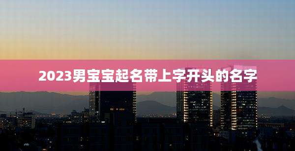2023男宝宝起名带上字开头的名字