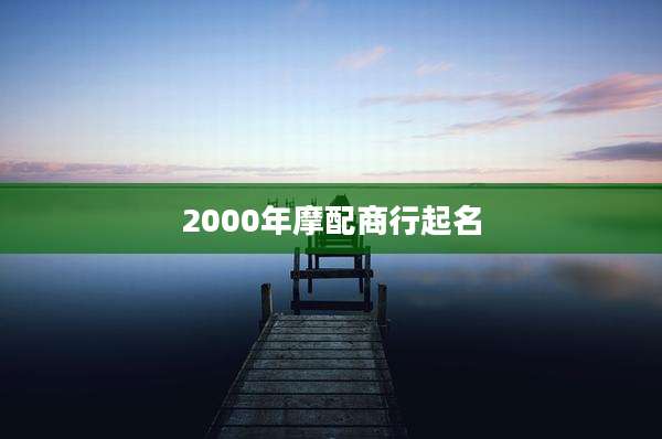 2000年摩配商行起名