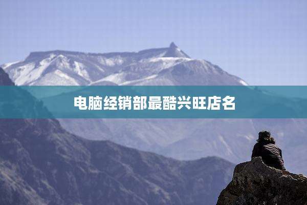 电脑经销部最酷兴旺店名