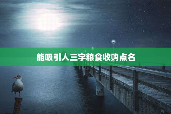 能吸引人三字粮食收购点名