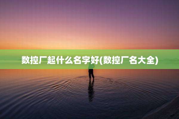 数控厂起什么名字好(数控厂名大全)