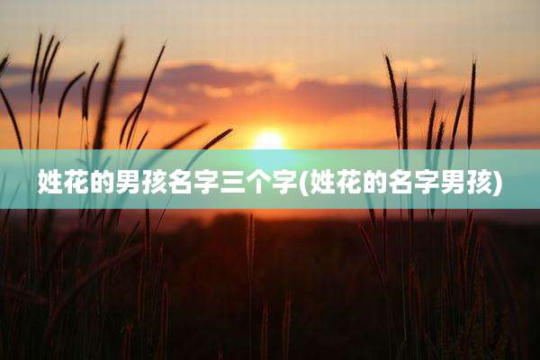 姓花的男孩名字三个字(姓花的名字男孩)