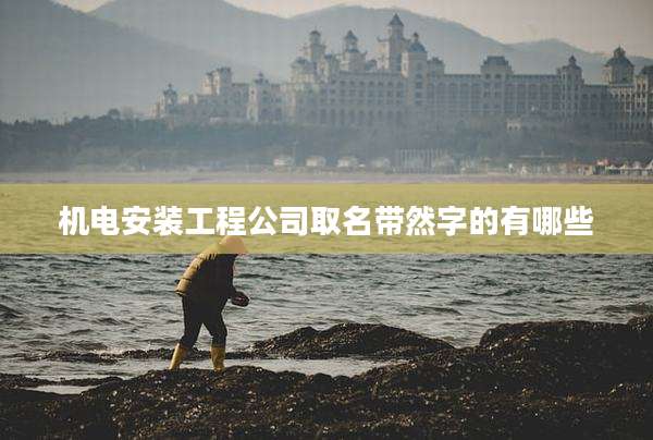 机电安装工程公司取名带然字的有哪些