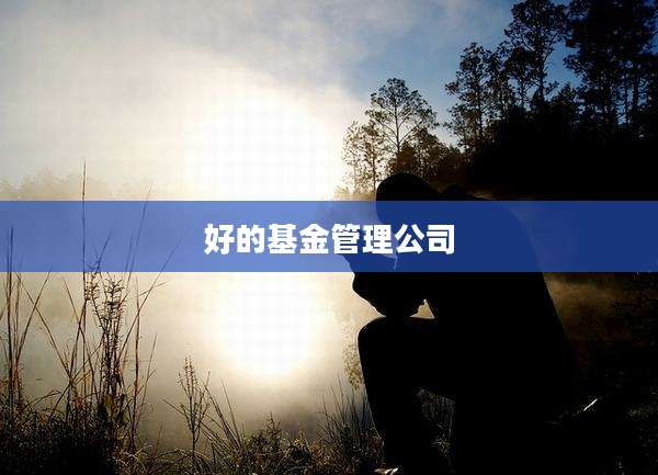 好的基金管理公司