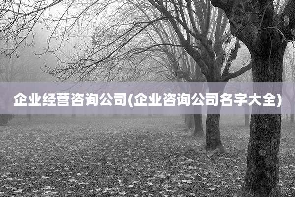 企业经营咨询公司(企业咨询公司名字大全)