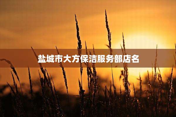 盐城市大方保洁服务部店名