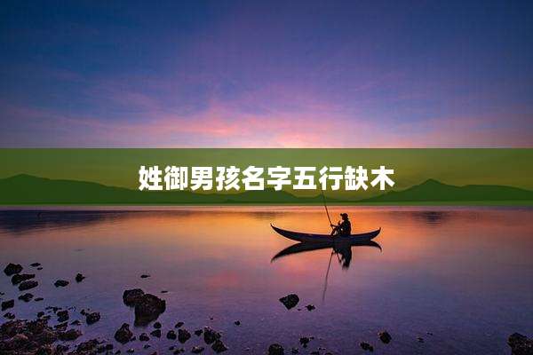 姓御男孩名字五行缺木