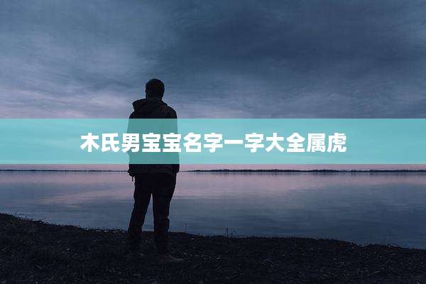 木氏男宝宝名字一字大全属虎