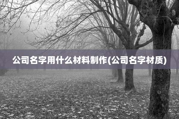 公司名字用什么材料制作(公司名字材质)