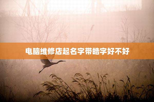 电脑维修店起名字带皓字好不好