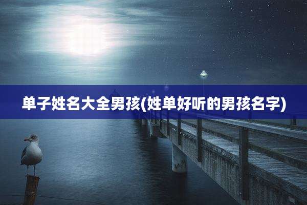 单子姓名大全男孩(姓单好听的男孩名字)