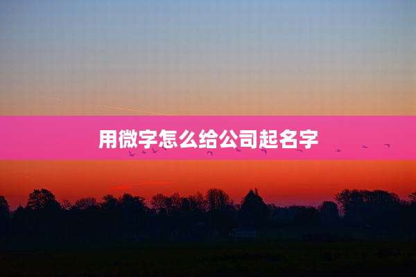 用微字怎么给公司起名字