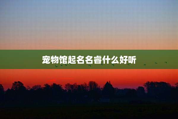 宠物馆起名名睿什么好听