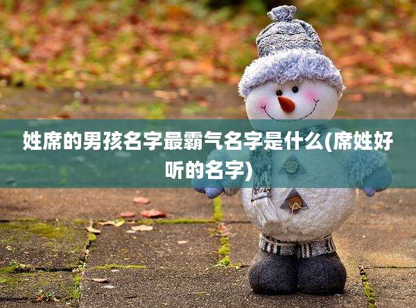 姓席的男孩名字最霸气名字是什么(席姓好听的名字)