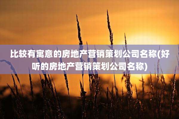比较有寓意的房地产营销策划公司名称(好听的房地产营销策划公司名称)
