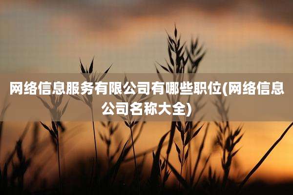 网络信息服务有限公司有哪些职位(网络信息公司名称大全)