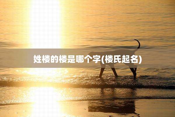 姓楼的楼是哪个字(楼氏起名)