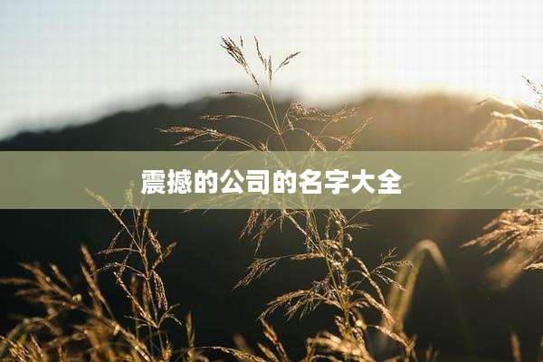 震撼的公司的名字大全