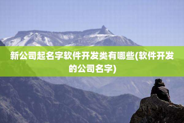 新公司起名字软件开发类有哪些(软件开发的公司名字)