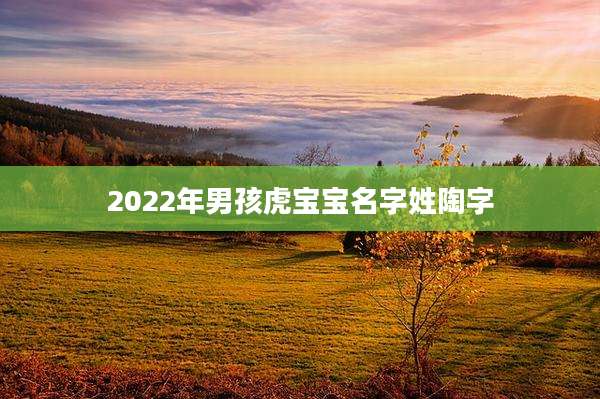 2022年男孩虎宝宝名字姓陶字