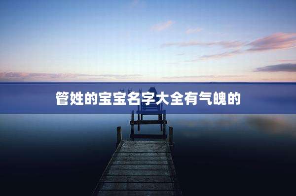 管姓的宝宝名字大全有气魄的