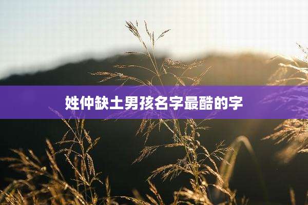 姓仲缺土男孩名字最酷的字