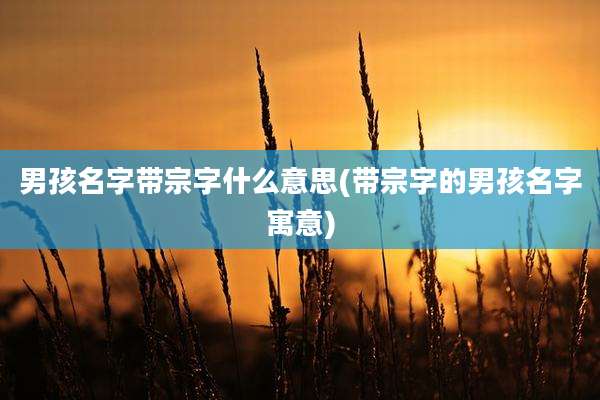 男孩名字带宗字什么意思(带宗字的男孩名字寓意)