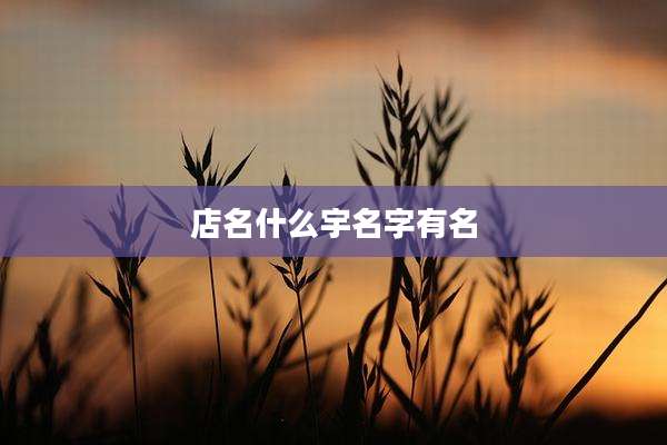 店名什么宇名字有名