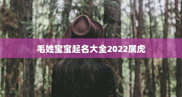 毛姓宝宝起名大全2022属虎