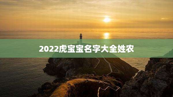 2022虎宝宝名字大全姓农