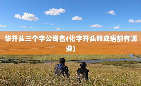华开头三个字公司名(化字开头的成语都有哪些)