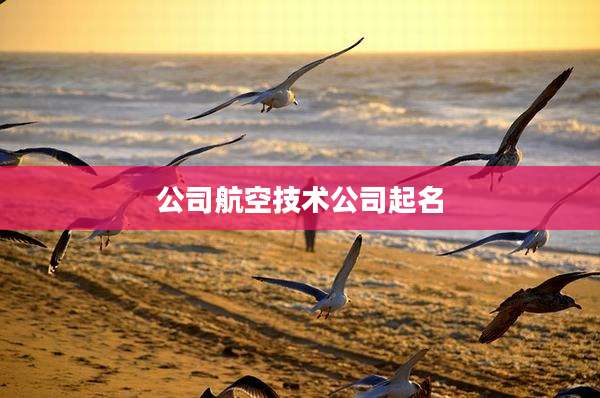 公司航空技术公司起名