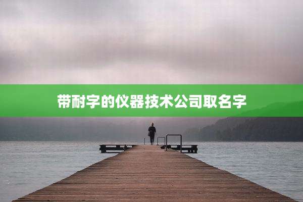带耐字的仪器技术公司取名字