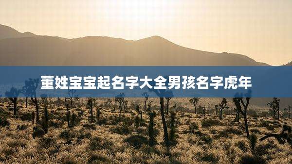董姓宝宝起名字大全男孩名字虎年