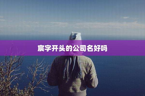 宸字开头的公司名好吗
