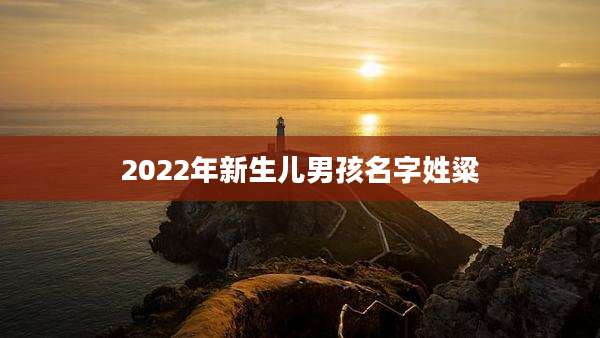 2022年新生儿男孩名字姓粱