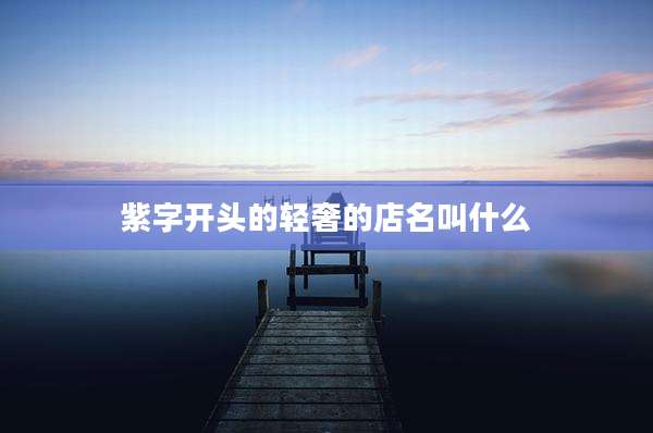 紫字开头的轻奢的店名叫什么