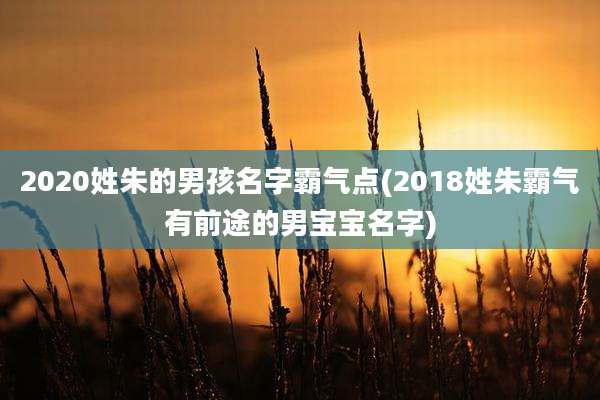 2020姓朱的男孩名字霸气点(2018姓朱霸气有前途的男宝宝名字)