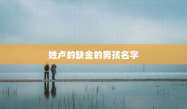 姓卢的缺金的男孩名字