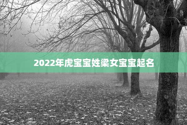 2022年虎宝宝姓梁女宝宝起名