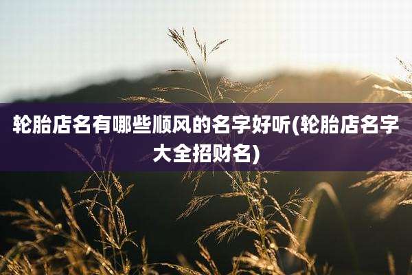 轮胎店名有哪些顺风的名字好听(轮胎店名字大全招财名)