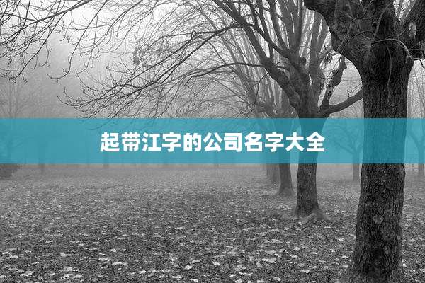 起带江字的公司名字大全